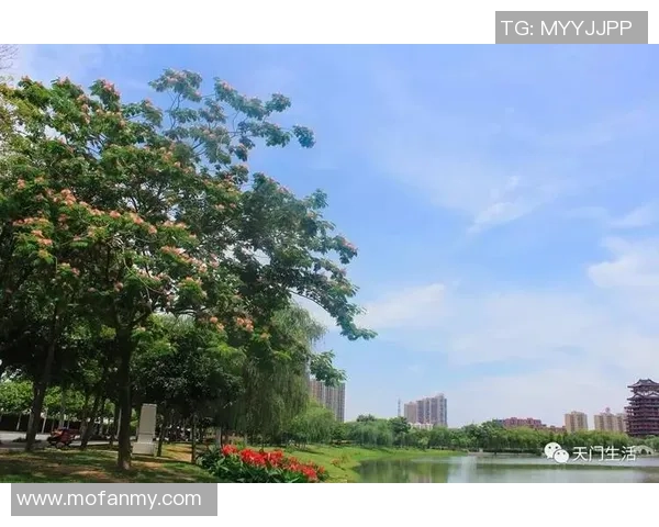 75：58！天门打败宜都